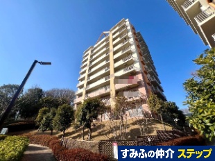 ��t��p�[�N�q���Y�c��