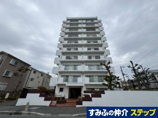 �s�쓡�}���V�����m�n�D�T