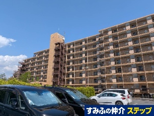 ���C�I���Y�}���V�����s��{����