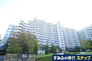 ���}�h�G���A���X������