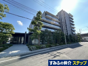 �V�e�B�e���X�z�J���C�N�^�E���a��