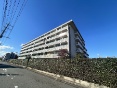 ͌nCc