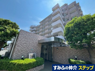 ���C�c���͑��