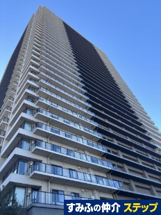 �V�e�B�^���[����