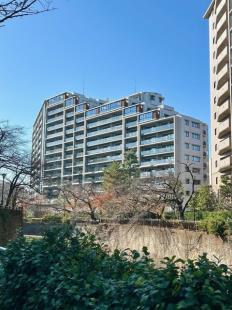 �V�e�B�e���X����