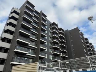 ���s�A�R�[�g�{��z�X�e�[�V�����r���[