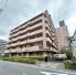 �p�V�t�B�b�N������