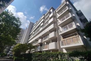 �V������n�C���R����