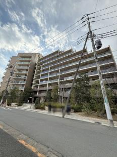 ���r�I�V�e�B�������e������