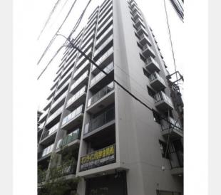 �V�e�B�n�E�X��������