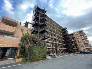 �_�C�A�p���X�`��