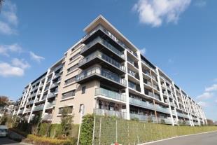 �V�e�B�e���X���_�˒�