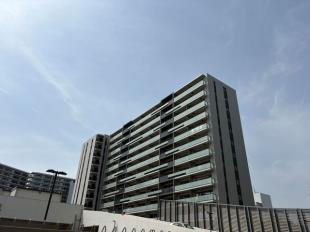 �u�����V�G���C�V��