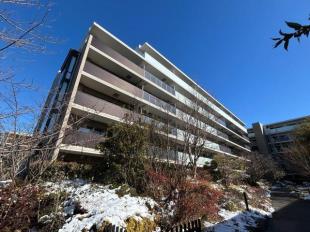 �v���E�h�V�e�B�������J�@�t�H���X�g�@B-3��