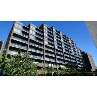 �O�����h�q���Y�O�������q���g�b�v�K�[�f��