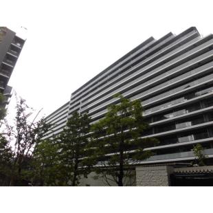 �V�e�B�e���X�����΂��u�u���[�Y�R�[�g