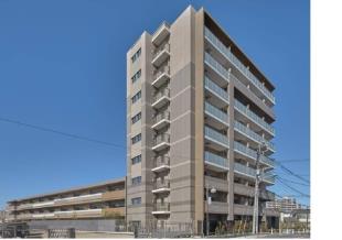 �W�F�C�O��������