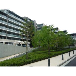 �V�e�B�e���X����������@A��