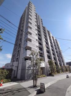 �V�e�B�^���[����w�X�e�[�V�����R�[�g���W�f���X��