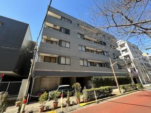 �G�N�Z���T