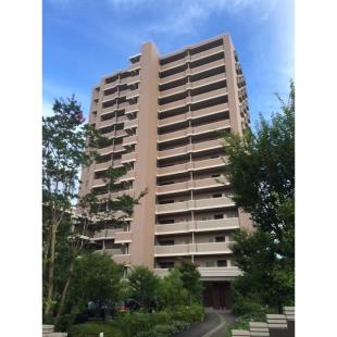 ���}�V�e�B������