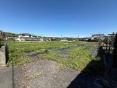 和泉市三林町土地