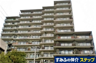 �p�[�N�v���U�k�~�c