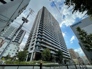 �V�e�B�^���[���~�c�p�[�N�t�����g