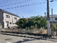 s悳쐼Pړyn