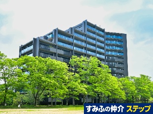 VeBnEX痢