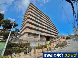 WIL痢