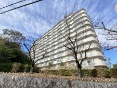 Rh~jA痢