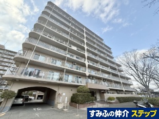 �痢���r�X�J�C�n�C�c