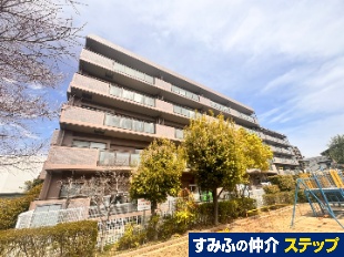 �X�e�C�c��؁E�ޗǒ�