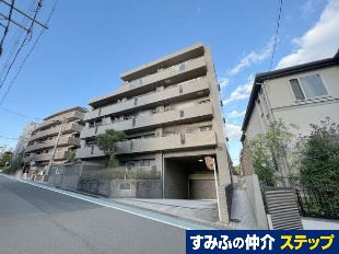 T[pX痢