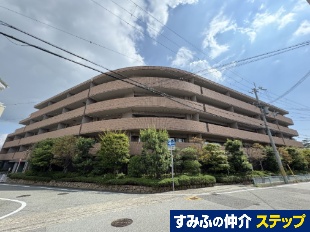 veBi[Wy