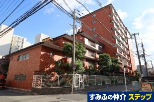 ���C�I���Y�}���V������U�]��