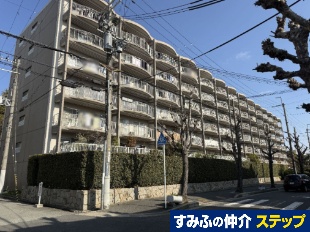 ���񂭂�[���؂`��