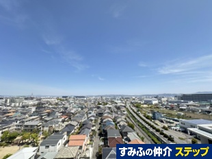 �p�[�N�i�[�h�E���[�x����؂���炬