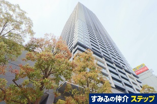 �~�c�K�[�f�����W�f���X