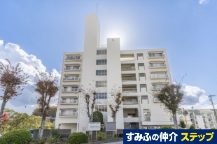 闖nEX܍