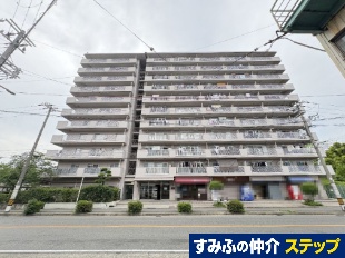 �p�[�N�n�C�c�瓇