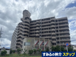 vXeԊ