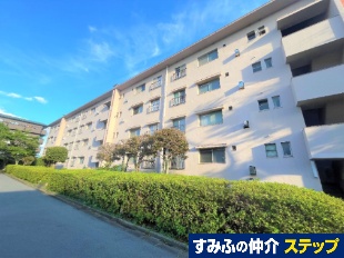 厛ZV