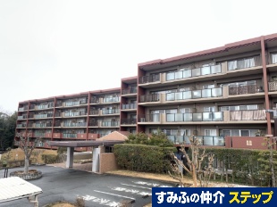 �i�`�����K�[�f�����̌��R�Ԋ�