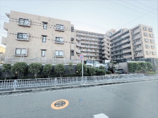 ���C�I���Y�}���V�������ΊC�l����