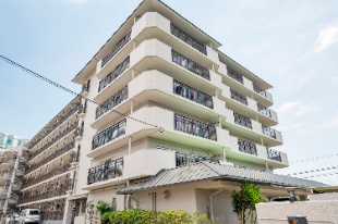 ���q�ܐF�˃n�C�c