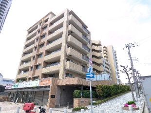 �V�[�}�[�N�X���q����