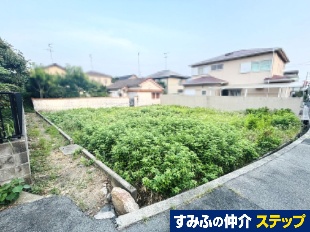 ʎsPړyninj