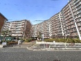 L씨cnS